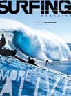 Surfing Cover Image